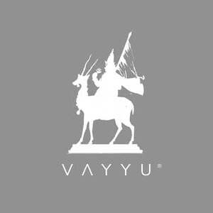 The Vayyu Foundation